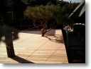 work way deck 000201.jpg